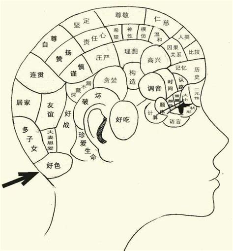 頭顱形狀|【由來冷知識】從頭顱看出人格特質？顱相學 Phrenology